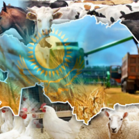 Как Казахстан продвигается по пути обеспечения продовольственной безопасности? Всё ли идёт по плану? 