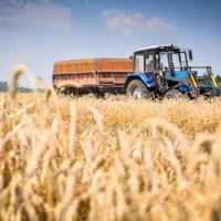 В цифрах и фактах: сколько государство выделяет денег на поддержку и развитие АПК Казахстана