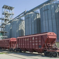 Астық Транс ограничил в марте прием заявок на погрузку в Восточно-Казахстанской и Павлодарской областях