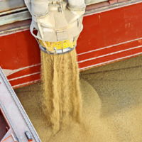 В Стамбуле может быть создана международная биржа зерна 