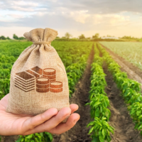 Казахстан: в 2023 году на льготные кредиты сельчанам будет выделено 52,4 млрд. тенге 