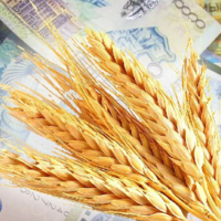 Казахстан: Минсельхоз отказался регулировать цены на пшеницу и занял позицию арбитра