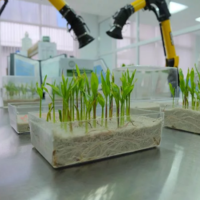 В России при Курчатовском институте будет создан научно-производственный семеноводческий центр