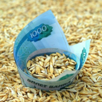 Минсельхоз России утвердил предельные цены на зерно и сахар для проведения товарных интервенций