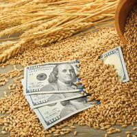 Рынки отреагировали на переговоры России и Украины: за 4 недели пшеница, кукуруза и нефть подешевела до минимума