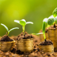 Холдинг «Байтерек» в два раза увеличил объемы финансирования посевной кампании 