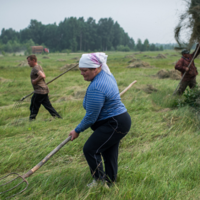 В Казахстане на льготные кредиты сельчанам выделят 52,4 млрд. тенге в 2023 году