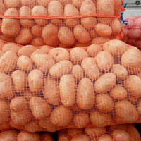 В Казахстане ввели квотирование картофеля и отменили запрет на экспорт моркови