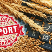 Казахстан увеличил экспорт пшеницы в страны Центральной Азии на 33,7%