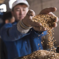 Казахстан поможет Грузии избежать продуктового дефицита 