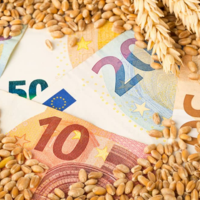 Страны ЕС с начала сезона экспортировали почти 27 млн. тонн пшеницы 