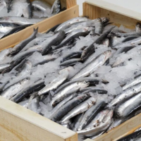 Россия за 10 месяцев увеличила экспорт агропродукции в страны Азии на 14%