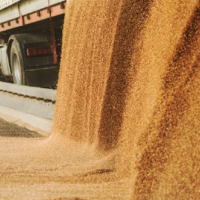 Россия с начала сельхозгода снизила экспорт зерна на 12% — до 5,6 млн. тонн