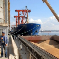 ИКАР: «Реализовать экспортный потенциал в 63 млн. тонн российского зерна будет затруднительно»