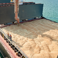 Турция: экспорт агропродукции в рамках «зерновой сделки» достиг 15 миллионов тонн