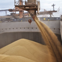 Мировые цены на зерно могут превысить $400 за тонну из-за ситуации вокруг Украины