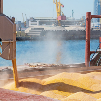 Зерновая инициатива: из трех украинских портов уже отправлено 9 млн. тонн агропродукции