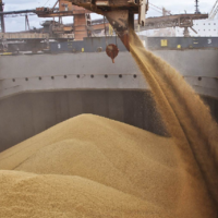 За десять дней до конца сезона экспорт украинского зерна достиг почти 48 млн. тонн