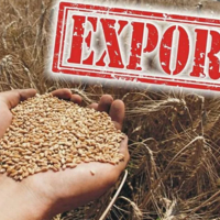 За 8 месяцев доля сырья в сельхозсэкспорте Казахстана составила 54% 