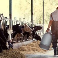 Фермеры, где вы? Численность индивидуальных предпринимателей в АПК сокращается