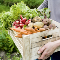 Минторговли РК: акиматам необходимо уже сейчас контрактовать объемы урожая 2022 года