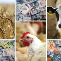 С начала года на льготное финансирование казахстанские фермеры получили 330 млрд. тенге