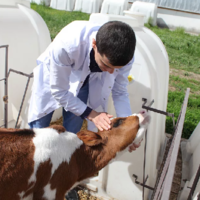 Почему правительство РК не будет финансировать ветстанции из республиканского бюджета?