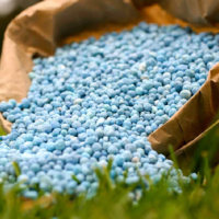 Казахстан, Узбекистан и Россия планируют совместное производство фосфатных удобрений  