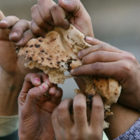 Обнуление экспорта украинского и российского зерна грозит второй арабской весной