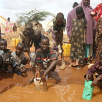 Coldiretti: соглашение по вывозу зерна из Украины спасёт 53 страны от голода