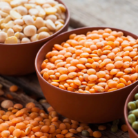 Казахстан и Китай обсуждают условия экспорта казахстанской чечевицы и гороха