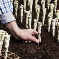 Больше половины преступлений в сфере сельского хозяйства Казахстана приходится на хищение субсидий