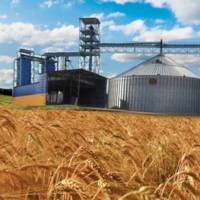 Где место рекордам? Россия ежегодно теряет 5-7% урожая зерна из-за нехватки мощностей для хранения