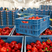 Объем импорта сельхозпродукции в Евросоюзе вырос на 38%, достигнув 12,5 млрд. евро