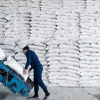 Сахар подешевеет? Казахстан сможет завезти без пошлины до 350 тыс. тонн белого сахара и сырца до конца августа