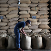 Китай с начала сезона сократил импорт зерна почти на 40%