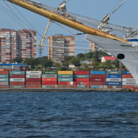 Дефицит пшеницы поставил мир на порог голода: импортеры срочно ищут альтернативные источники продовольствия