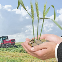 В Казахстане за три года планируется реализовать 800 инвестпроектов по развитию АПК