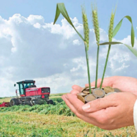 В 2022 году в АПК Казахстана запланирована реализация 312 инвестпроектов