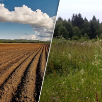 Цифровая платформа JerInSpectr поможет вернуть государству до 5 млн. га сельхозземель