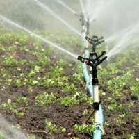 Из-за нехватки воды Казахстану необходим переход на капельное орошение 