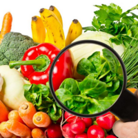 Продовольственная безопасность? Китай разрешит выращивать культуры с редактированными генами 