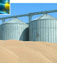 Казахстан планирует строительство зернового терминала на туркмено-афганской границе