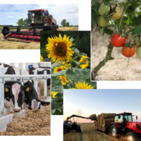 В Казахстане объем валовой продукции сельского хозяйства снизился на 2,4 % и составил 7,4 трлн. тенге