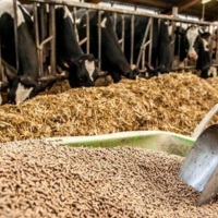 Словацкая компания планирует запустить производство кормовых добавок в Казахстане