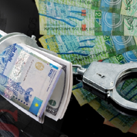 Вскрыты преступные схемы в сфере субсидирования АПК в Северо-Казахстанской области