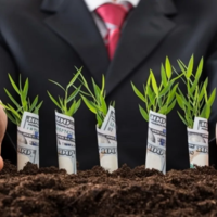 Казахстан: 109 расследований проведено в сфере субсидирования сельского хозяйства: в коррупции подозреваются 73 чиновника