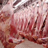 Казахстан сможет импортировать до 5 тыс. тонн говядины без пошлин