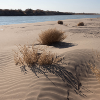 Казахстану грозит маловодье: больше всего пострадают фермеры двух областей