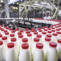 В России маркировка фермерской молочной продукции отложена до 1 декабря 2023 года 